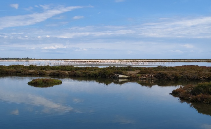 Das Wattenmeer-Weser-Ästuar ist die einzige deutsche Pilotregion im EU-Projekt COAST-SCAPES. Das Hereon wird die Forschungstätigkeiten in diesem Gebiet koordinieren. Foto: Hereon/Wei Chen Das Wattenmeer-Weser-Ästuar ist die einzige deutsche Pilotregion im EU-Projekt COAST-SCAPES. Das Hereon wird die Forschungstätigkeiten in diesem Gebiet koordinieren. Foto: Hereon/Wei Chen