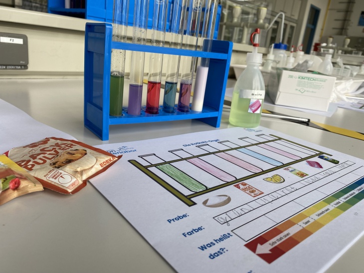 Rotkohlorgel Img 9112