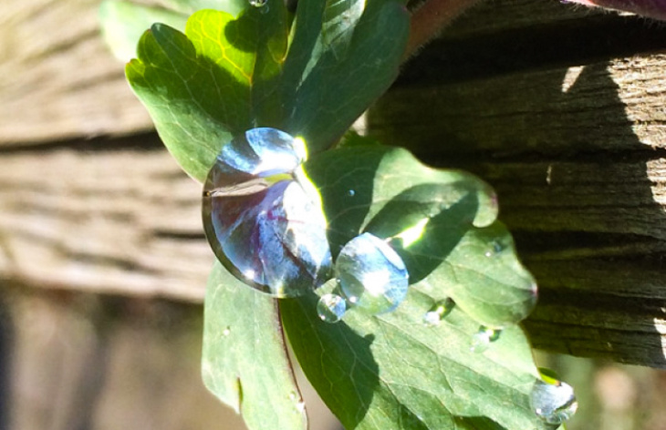 Schülerlabor Teaserbilder Hauptseite Quantensprung _1 Von 1_