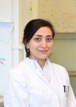 Dr. Hanieh Moradian 