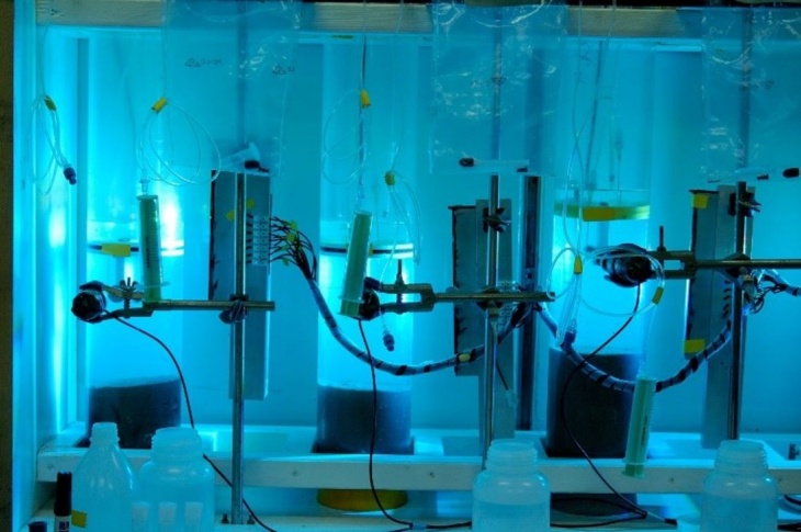 Inkubation_Sedimentkerne