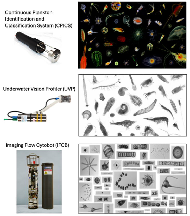 Aqqua project imaging systems
