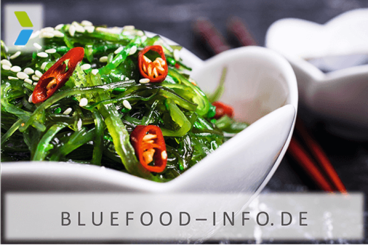 Bluefood-info-de-thumb