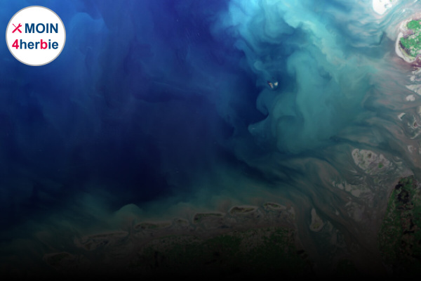 Kachel-moin4herbie-shadowed