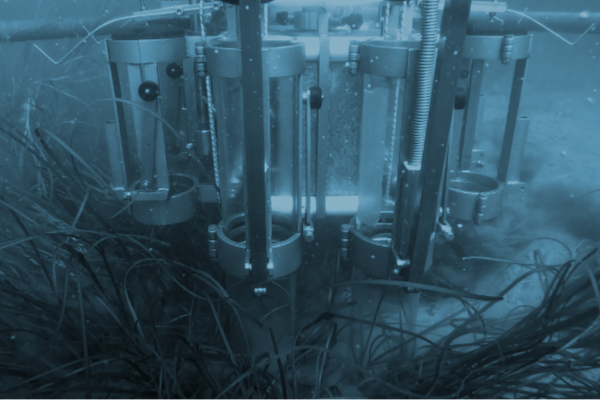 2025 KCF MarineCDR 600x400