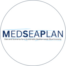 MEDSEAPLAN Logo
