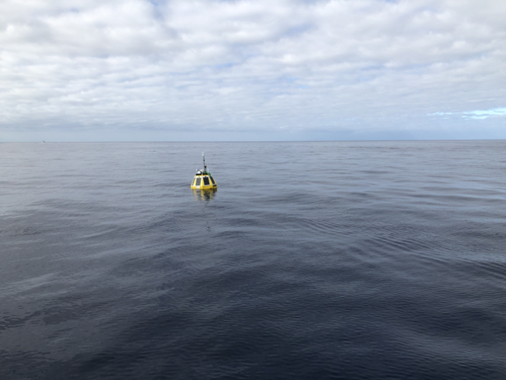 Kck-medseaplan-madeira-2022-buoy-thomas-kock