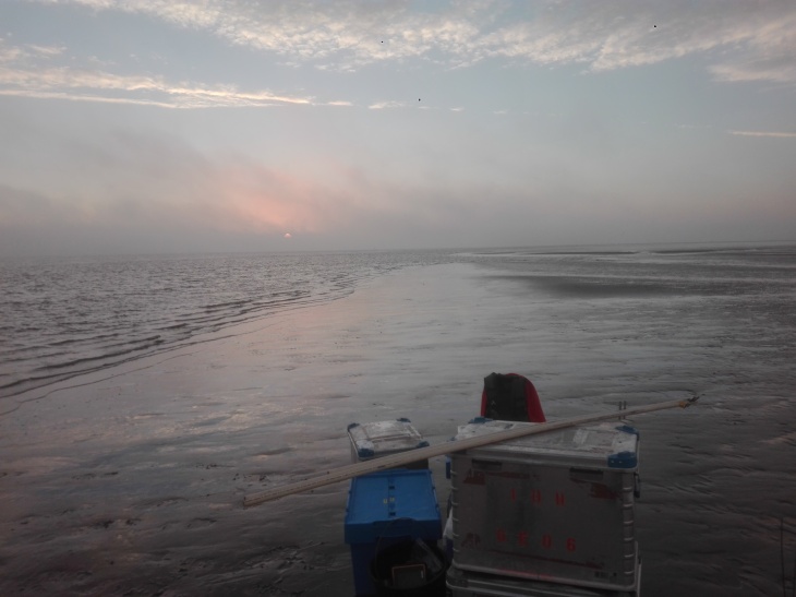 Probenahme auf dem Janssand