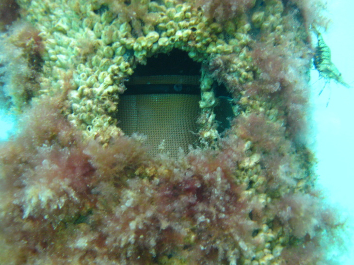 Sea_ReCap DeploymentUnderwater