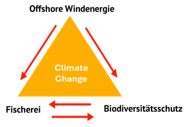 OWF_Sociocultural_Fig_1