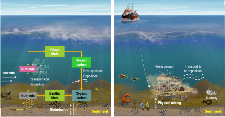GCOAST_Seafloor_Zhang