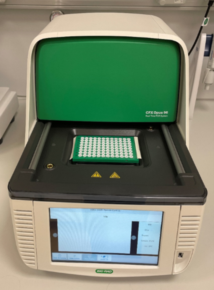 Wgc Qpcr