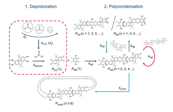 Abb. 1 Adv. Funct. Materials_Kandelhard_28.01.2025_600x388.jpg