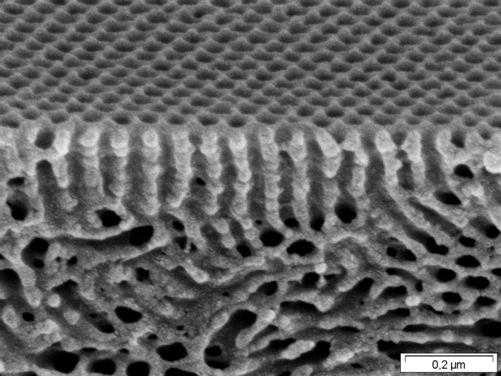 PMI_Morphologie_Feb. 2022 - 120112-035_tilt20_100k_JC115c_111019_PS83-P4VP17_200k.jpg