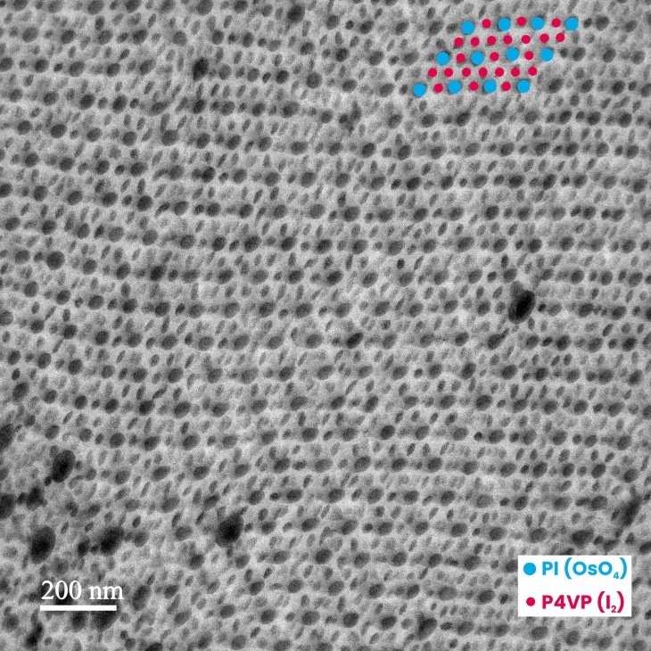 2b) PMI_Chem Zus - ZZ6-1_PI14PS67P4VP19_190k_CHCl3+DMF_30minI2+30minOsO4_Zhang_T19008_VB8 _25kX _0055_RKM_2n.jpg