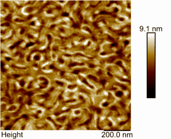 PMI_1c) Morphologie - LHA134_PDMA28-PS72_102k_20mg-1mlCHCl3-3000rpm_ _brownSmall.gif