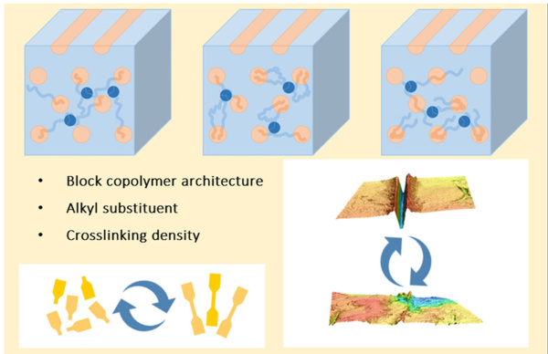 graph. abstract_Weerathaworn_Polymer_Jun 2024_600x388.jpg