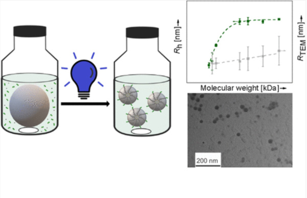 Hub_Macromolecules Feb. 2024_graphical abstract.jpg