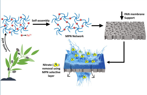 Kinfu_CEJ_162841_graph. abstract_600x388.jpg