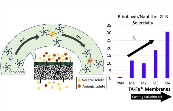 Kinfu_ACS Omega_Nov.2024_graph abstr 600x388.jpg