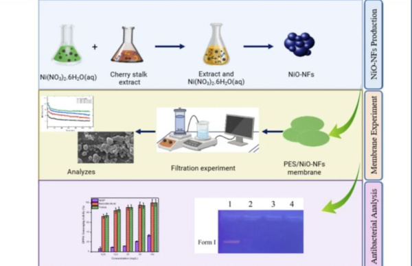 Graph. abstract_Bilici_IJEST_May2025_600x388.jpg
