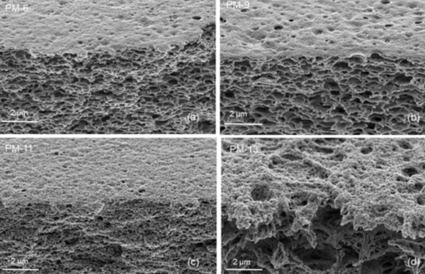 CalisKan_RCS Adv. Mar 2024_Abb. 1_600x388.jpg