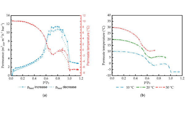 Schuldt_Membranes_Mar 2024_ Abb.8_600 x 388.jpg