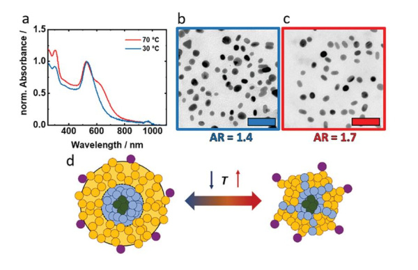 Lemich_Adv. Funct. Mater._Apr 2024_Abb.2_600x388.jpg