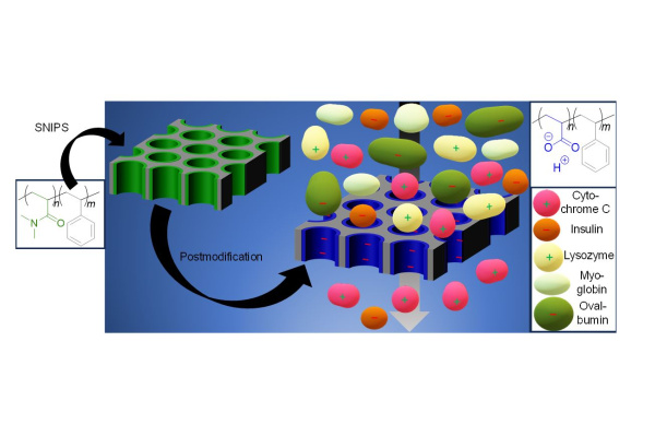 graph. abstract_Hub_JMemSci_Jun 2024_600x388_.jpg