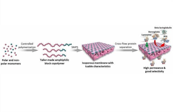 Graph. abstract_Zhang_JMemSci_124114_Apr.2025600x388.jpg