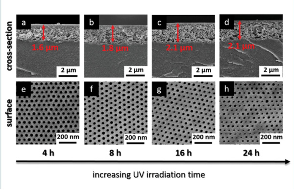 Appold_Advanced Science_Juli 2024_Abb. 4_600x388.jpg