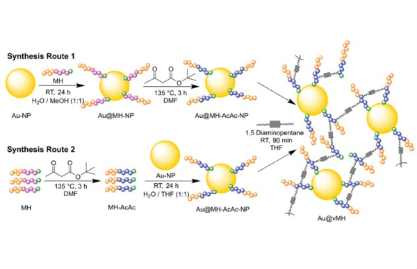 Schütz_Macromol. Rapid Commun. 2025_2401027_Fig. 1_600x388.jpg