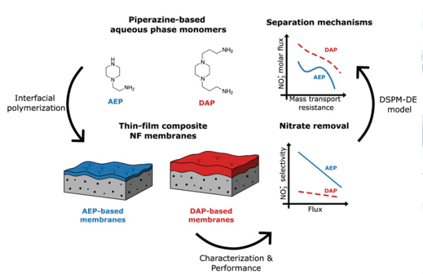Cevallos-Cueva_JMS_Sept.2025 graph. abstract 600x388.jpg