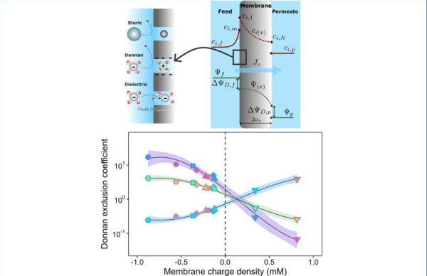 Cevallos-Cueva_JMS_Feb. 2025_Summary_600x388.jpg