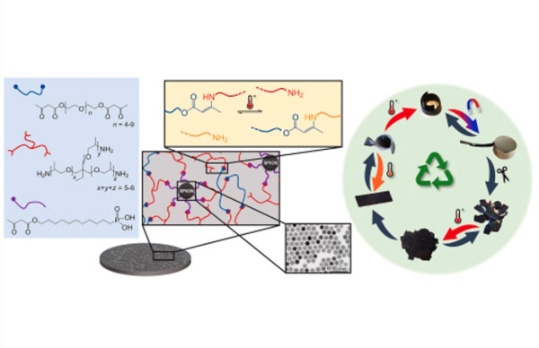 Signorato_Polymer_Jan 2025 graphical abstract_600x388.jpg