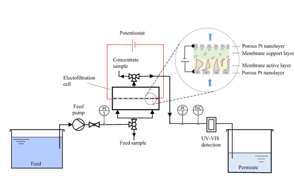 Fig.2_Usman_Glass_Membranes Aug. 2024_600x388.jpg