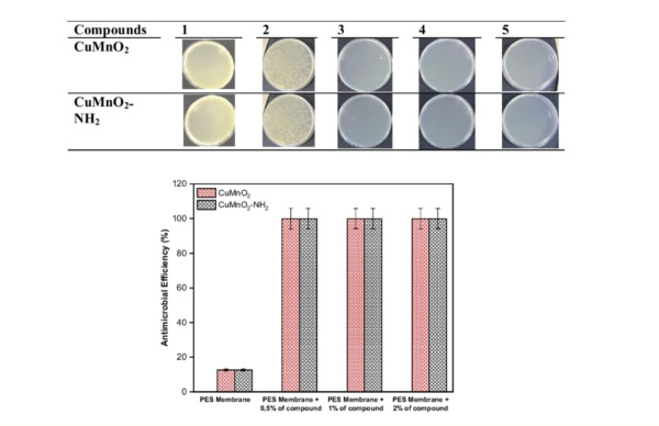 Yildirim_Colloid a Pol. Science Nov. 2024_graph. abstr.600x388.jpg