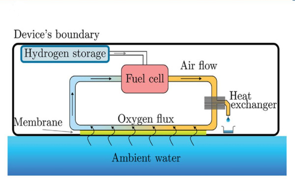 Merckelbach_Adv. Science_Jan2025_600x388.jpg