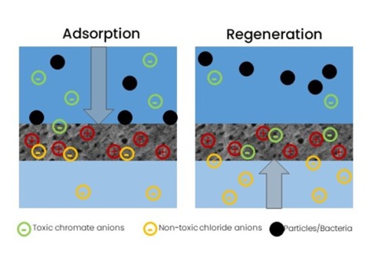 Adsorption toxischer Ionen
Bild: Hereon/Glass Adsorption u. Regeneration