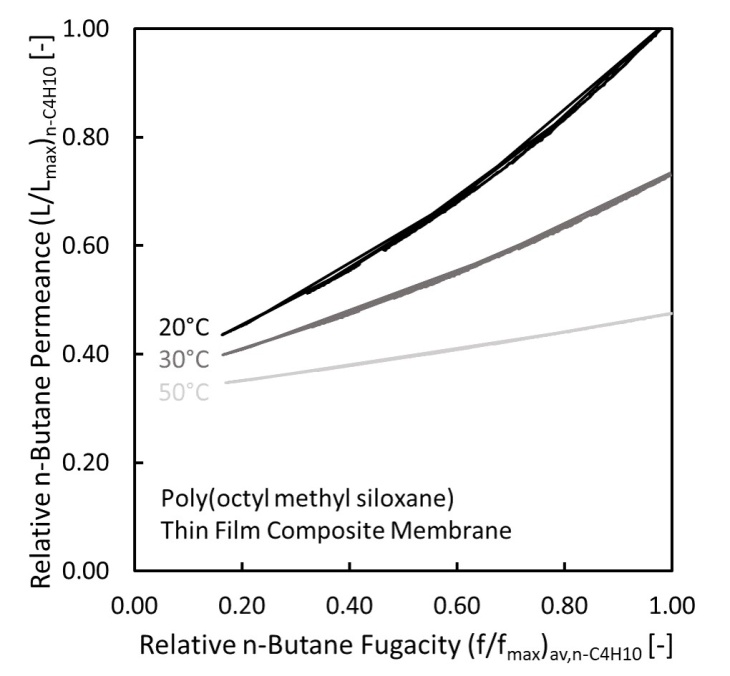 Permeationsverhalten von Gasseparationsmembranen Modellbild