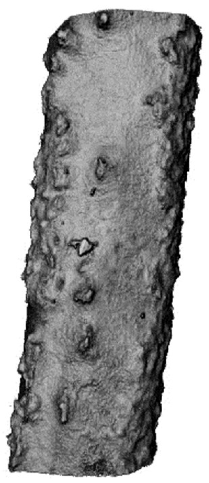 MB Mg-2Ag Draht nanoCT