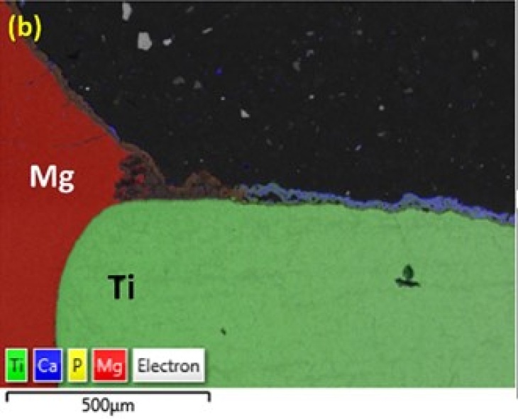 MB Ti-Mg implants coating