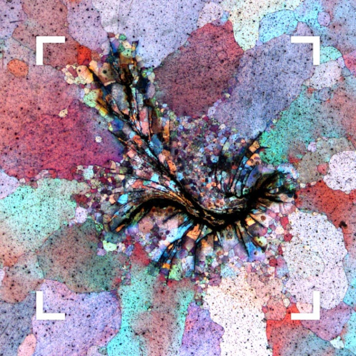 MB MgWhirl winner photo Serge