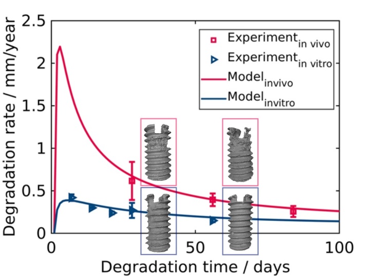 MB grafik surrogatmodel MBS 2023