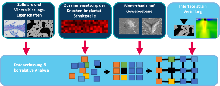 MB osseointegration abstract D
