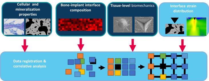 MB osseointegration abstract eng