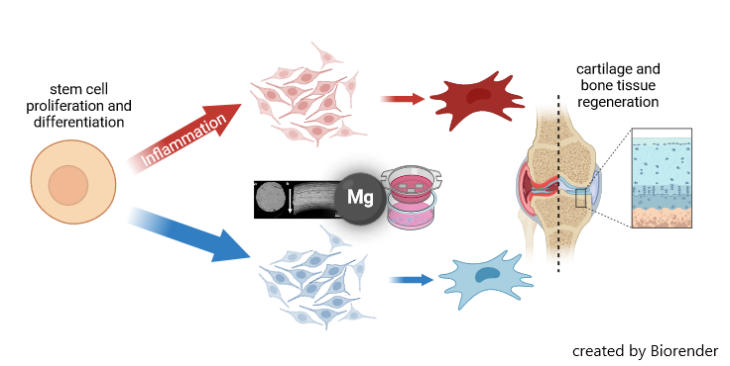 MB graph abstract OAMag engl