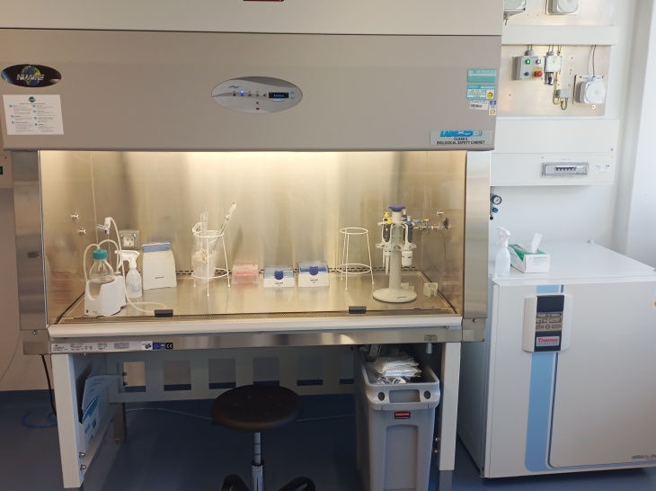 Img 20250206 130029 932