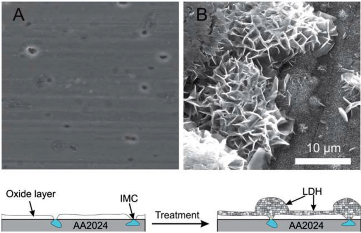 Sem Images Of The Bare Aa2024