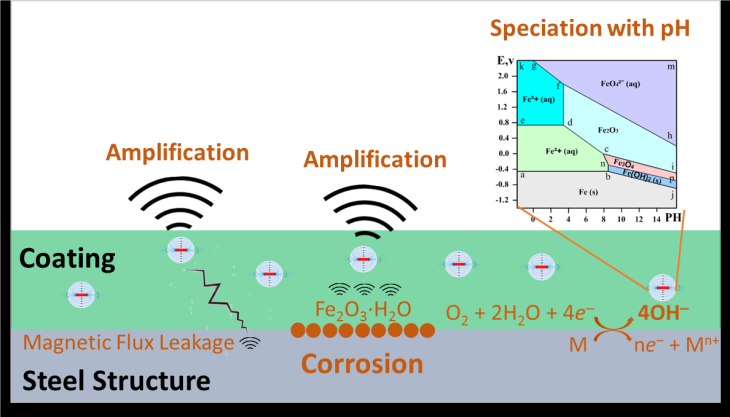 Grafik Mechanisms of magnetic sensing coatings